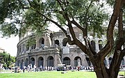 The Coliseum, Roma, Italia