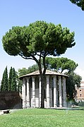 Piazza della Bocca della Verita, Roma, Italia