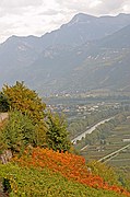 Viñedos Bisse de Clavau, Sion, Suiza