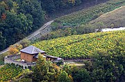 Viñedos Bisse de Clavau, Sion, Suiza