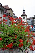 Murten/Morat, Murten/Morat, Suiza