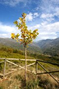 Mirador La Serrailla, Mirador La Serrailla, España