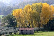 Guijo de Santa Barbara, Guijo de Santa Barbara, España