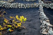 La Geria, Lanzarote, España