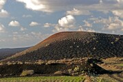 La Geria, Lanzarote, España