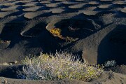 La Geria, Lanzarote, España