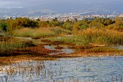 Maspalomas, Gran Canaria, España