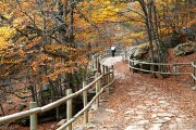 La Laguna Negra, La Laguna Negra, España