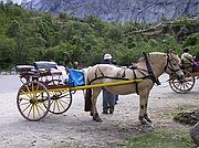 Glaciar de Briksdal, Glaciar de Briksdal, Noruega