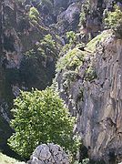 Desfiladero del Cares, Desfiladero del Cares, España