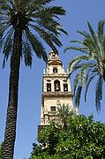 Mezquita de Cordoba, Córdoba, España