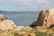 Islas Cies, Isla de Sálvora, España