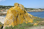 Islas Cies, Isla de Sálvora, España