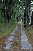 Islas Cies, Isla de Monteagudo, España