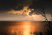 La Albufera, La Albufera, España 