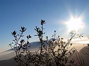 Tenerife, Tenerife, España