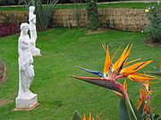 Hotel Botanico - Puerto de la Cruz, Tenerife, España