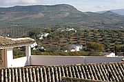 Zagrilla, Zagrilla, España