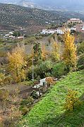 Priego de Córdoba, Priego de Córdoba, España