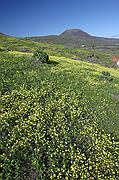 Lanzarote, Lanzarote, España