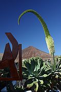 Fundación César Manrique, Lanzarote, España