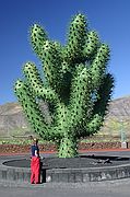 Jardín de Cactus, Lanzarote, España