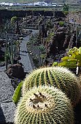Jardín de Cactus, Lanzarote, España