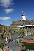 Jardín de Cactus, Lanzarote, España