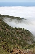 La Palma, La Palma, España