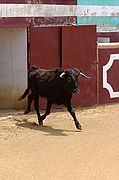 Comarca del Condado, Finca El Vadillo, España