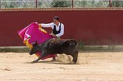 Comarca del Condado, Finca El Vadillo, España