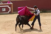 Comarca del Condado, Finca El Vadillo, España