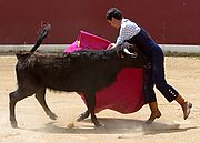 Objetivo 98 to 280
¡Cuidado!
Tren El Condado
FINCA EL VADILLO
Foto: 1782