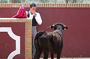 Objetivo 98 to 280
Estudiando al bicho
Tren El Condado
FINCA EL VADILLO
Foto: 1783