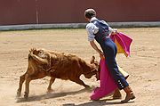 Comarca del Condado, Finca El Vadillo, España