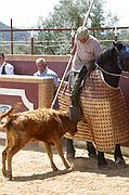 Comarca del Condado, Finca El Vadillo, España