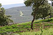 Comarca del Condado, Finca El Vadillo, España