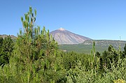 Tenerife, Tenerife, España