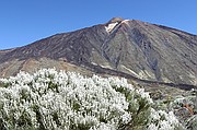 Cañadas del Teide, Tenerife, España