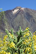 Cañadas del Teide, Tenerife, España