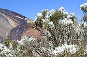 Cañadas del Teide, Tenerife, España