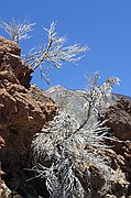 Cañadas del Teide, Tenerife, España