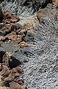 Cañadas del Teide, Tenerife, España