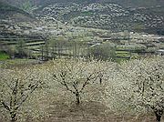 Valle del Jerte, Valle del Jerte, España