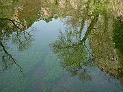 Monasterio de Piedra, Monasterio de Piedra, España