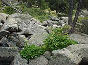 Pirineos, Pirineos, España