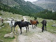 Pirineos, Pirineos, España