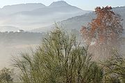 Priego de Córdoba, Priego de Córdoba, España