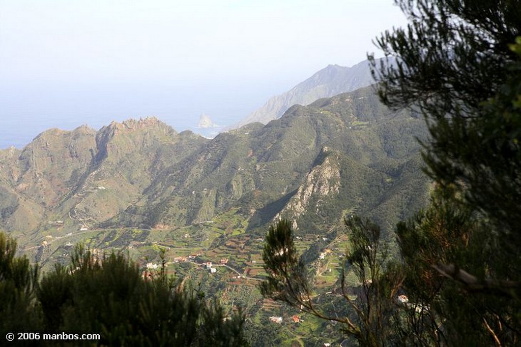 Tenerife
Canarias