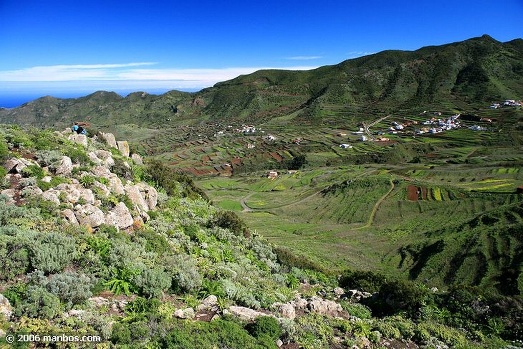 Tenerife
Mirador de Baracan
Canarias